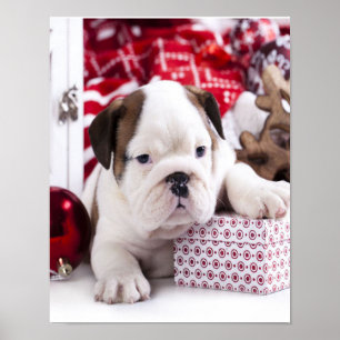 Affiche Chien-chien anglais mignon Noël drôle