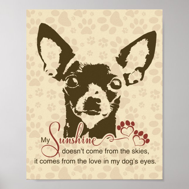 Affiche Chien Chihuahua Mon Soleil (Devant)