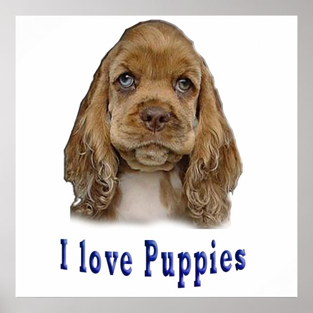 Affiche Chien chiot (Devant)