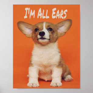 Affiche Chien chiot Je suis tous des oreilles, mignon mème