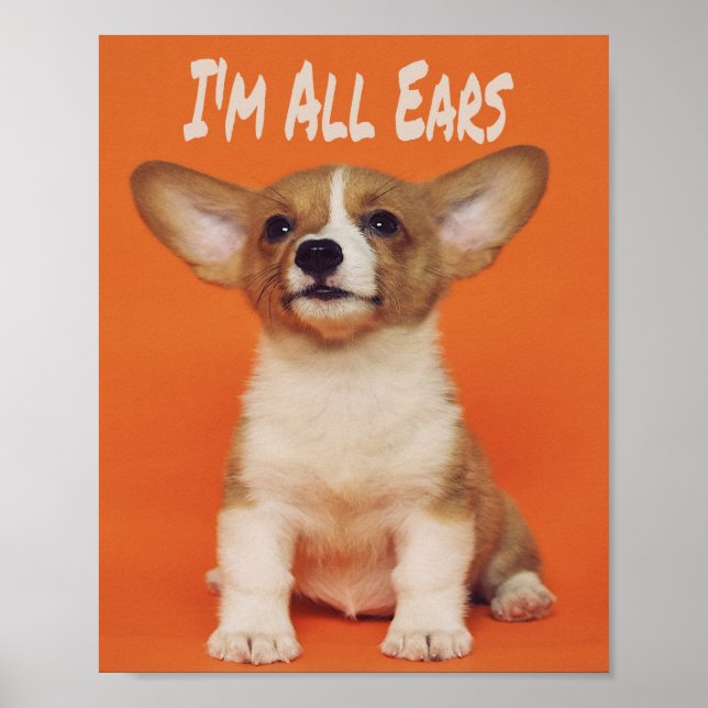 Affiche Chien chiot Je suis tous des oreilles, mignon mème (Devant)