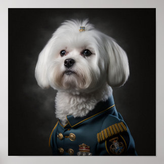 Affiche Chien chiot maltais Fantastique portrait militaire