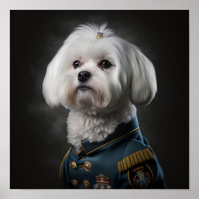 Affiche Chien chiot maltais Fantastique portrait militaire (Devant)