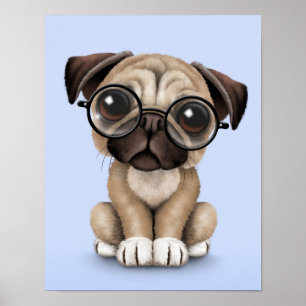 Affiche Chien chiot mignon Carlin portant des lunettes de 