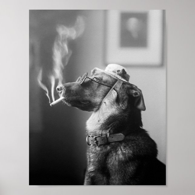 Affiche Chien classe fumer une cigarette (Devant)