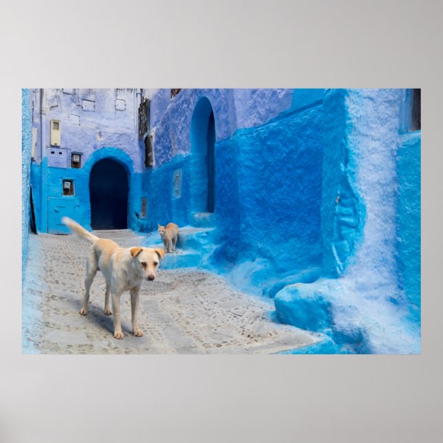 Affiche Chien dans la ville bleue (Devant)