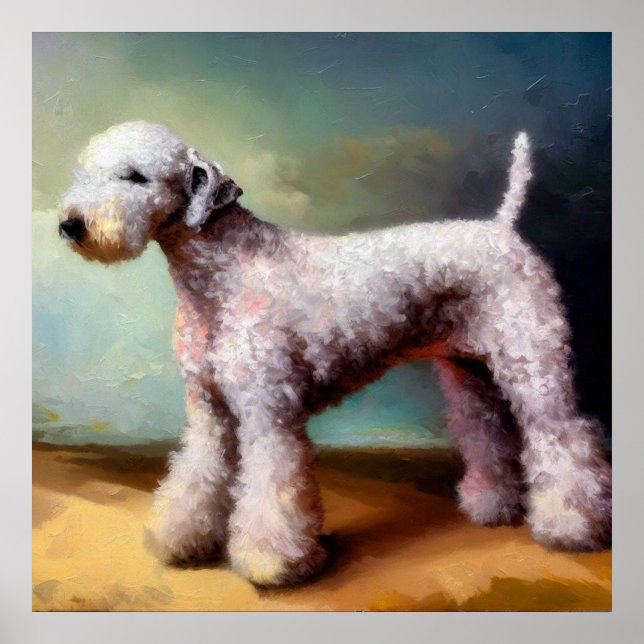 Affiche Chien de Bedlington Terrier (Devant)