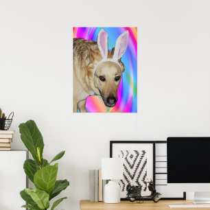 Affiche Chien de berger allemand drôle et oreilles de lapi