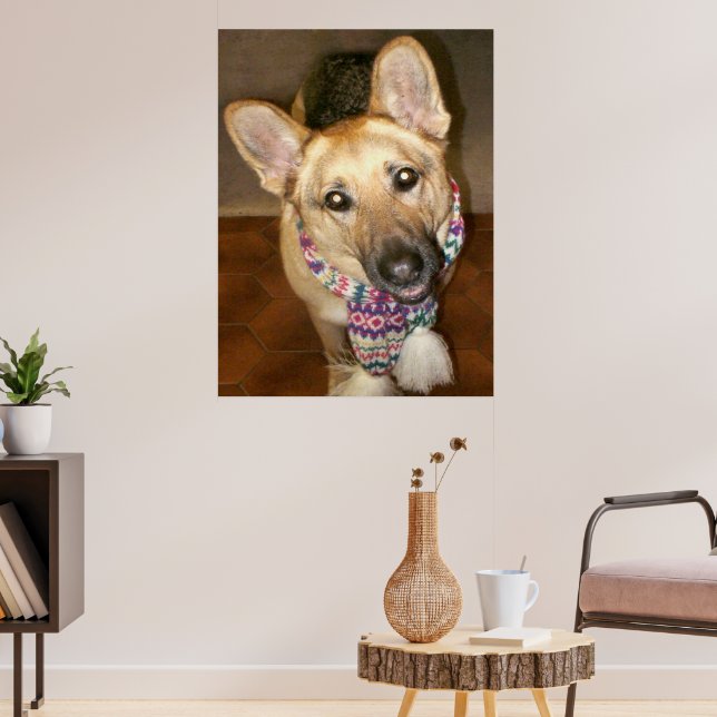 Affiche Chien de berger allemand mignon et adorable avec é (Salon 3)