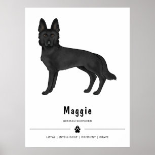 Affiche Chien de berger allemand noir de dessin animé avec