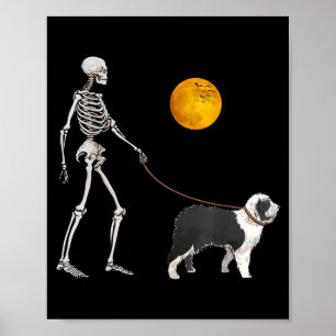 Affiche Chien de berger anglais ancien squelette chien mar