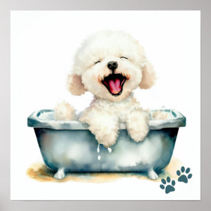 Affiche Chien de Bichon Frise