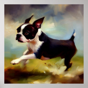 Affiche Chien de Boston Terrier