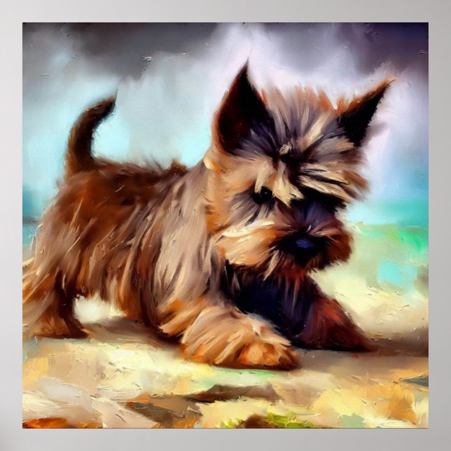 Affiche Chien de Cairn Terrier (Devant)