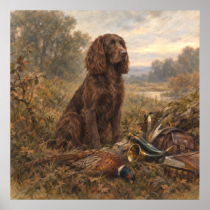 Affiche Chien de chasse Wachtelhund, Spaniel allemand