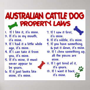 AFFICHE CHIEN DE CHÂTEAU AUSTRALIEN PL2