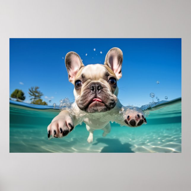 Affiche Chien de Chien de Chien de Chien de Chien de Franc (Devant)