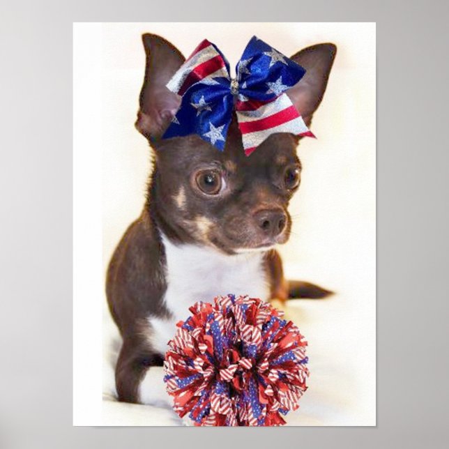 Affiche Chien de Chihuahua pom-pom girl (Devant)