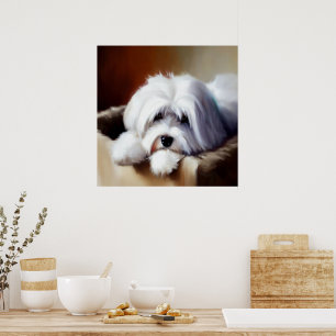 Affiche Chien de Coton de Tulear