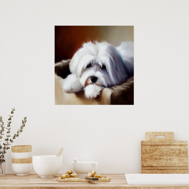 Affiche Chien de Coton de Tulear (Cuisine)
