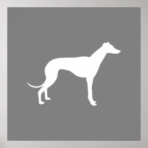 Affiche Chien de Greyhound