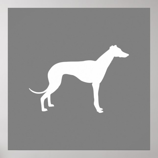 Affiche Chien de Greyhound (Devant)