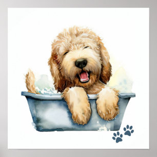 Affiche Chien de Labradoodle