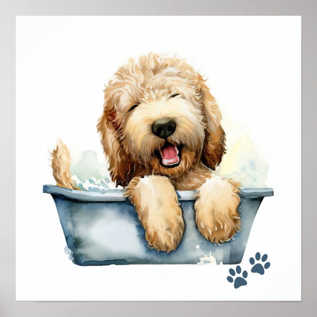 Affiche Chien de Labradoodle (Devant)