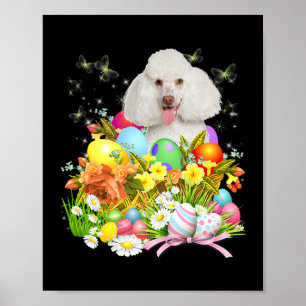 Affiche Chien de lapin de caniche blanc avec oeufs de Pâqu