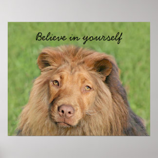 Affiche Chien de Lion