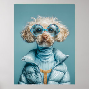 Affiche Chien de mode en tenue bleue