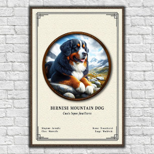 Affiche Chien de montagne bernois Série de zoologie