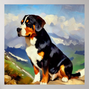 Affiche Chien de montagne suisse