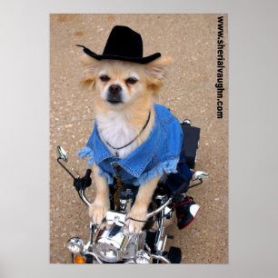 Affiche Chien de moto Cowboy