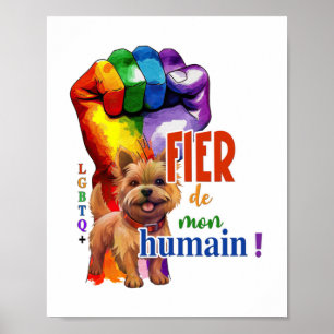 Affiche Chien de Norwich Terrier
