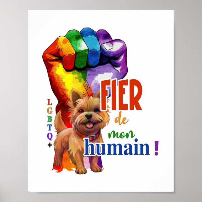 Affiche Chien de Norwich Terrier (Devant)