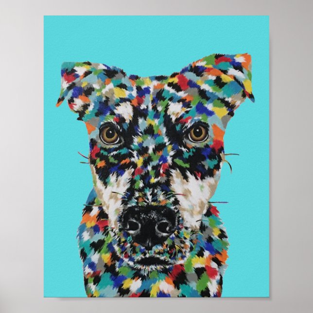 Affiche Chien de race mixte (Devant)