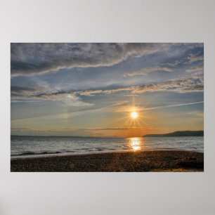 Affiche Chien de Sun