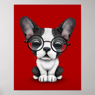 Affiche Chien de taureau français mignon avec lunettes, ro
