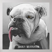 Chien de taureau très motivé