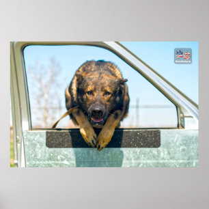 AFFICHE CHIEN DE TRAVAIL MILITAIRE AMÉRICAIN