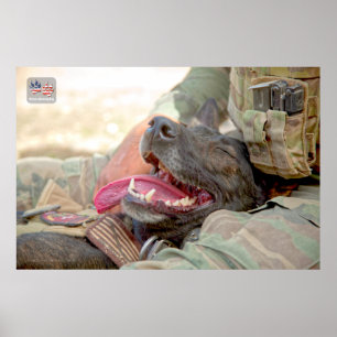 AFFICHE CHIEN DE TRAVAIL MILITAIRE AMÉRICAIN