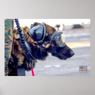 AFFICHE CHIEN DE TRAVAIL MILITAIRE AMÉRICAIN
