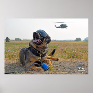 AFFICHE CHIEN DE TRAVAIL MILITAIRE AMÉRICAIN
