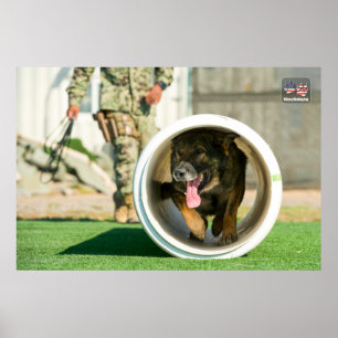 AFFICHE CHIEN DE TRAVAIL MILITAIRE AMÉRICAIN