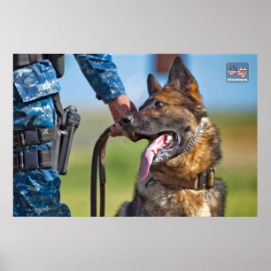 AFFICHE CHIEN DE TRAVAIL MILITAIRE AMÉRICAIN