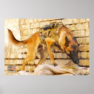 AFFICHE CHIEN DE TRAVAIL MILITAIRE AMÉRICAIN