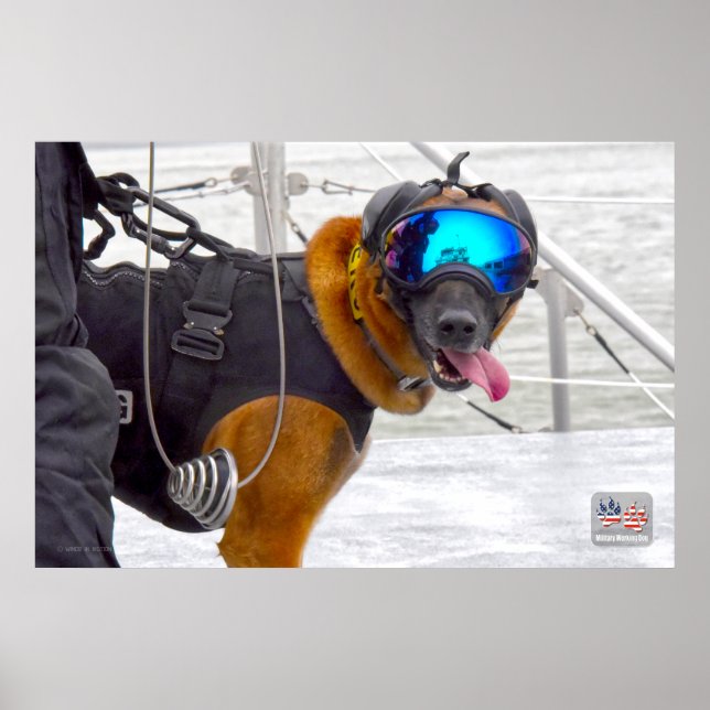 AFFICHE CHIEN DE TRAVAIL MILITAIRE AMÉRICAIN (Devant)