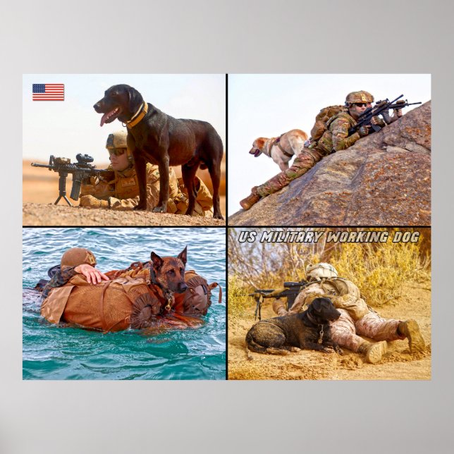 AFFICHE CHIEN DE TRAVAIL MILITAIRE AMÉRICAIN (Devant)