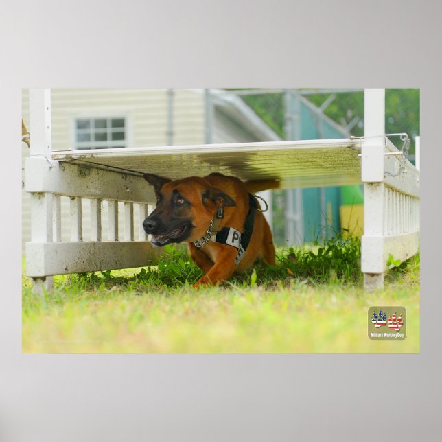 AFFICHE CHIEN DE TRAVAIL MILITAIRE AMÉRICAIN (Devant)